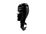 0 Mercury Fourstroke 60 HP EFI Command thrust