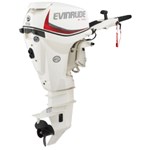2017 Evinrude 25 DTSL