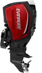 2018 Evinrude E-TEC G2 300 HP - E300XU