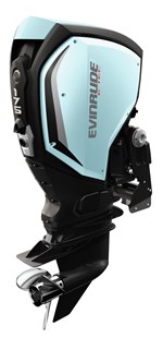 2018 Evinrude E-TEC G2 175 HP - C175PX