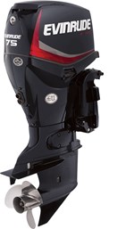 2018 Evinrude E-TEC Inline 75 HP - E75DPGL