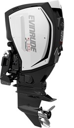 2018 Evinrude E-TEC G2 250 H.O. - E250XH