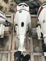 2013 Evinrude 50HP E50DSL