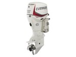 2016 Evinrude Pontoon 65-HP E65SL