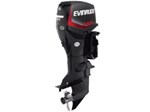 2017 Evinrude E-Tec 50 HP E50DPGL